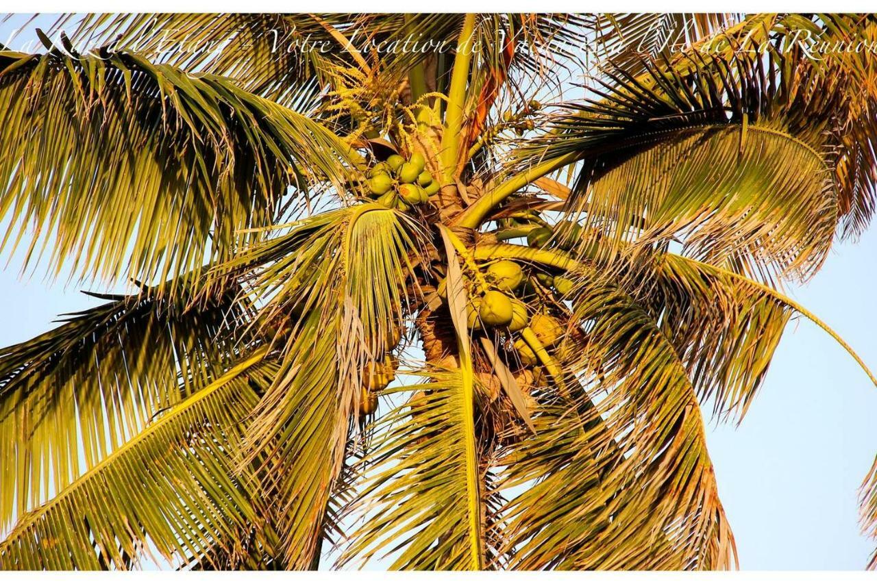 La Kaz A L'Etang - Votre Location De Vacances A L'Ile De La Reunion Сен-Луї Екстер'єр фото