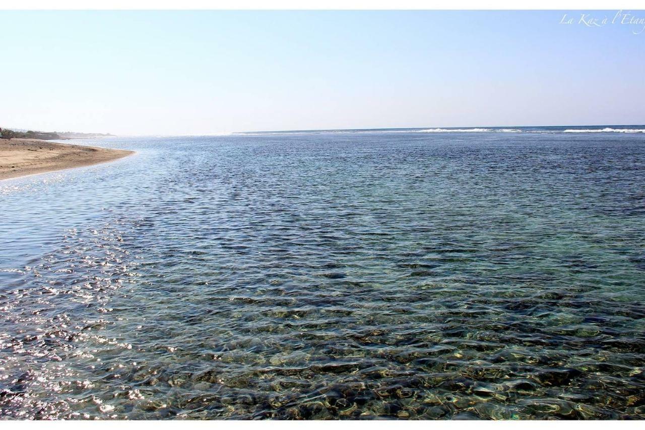 La Kaz A L'Etang - Votre Location De Vacances A L'Ile De La Reunion Сен-Луї Екстер'єр фото