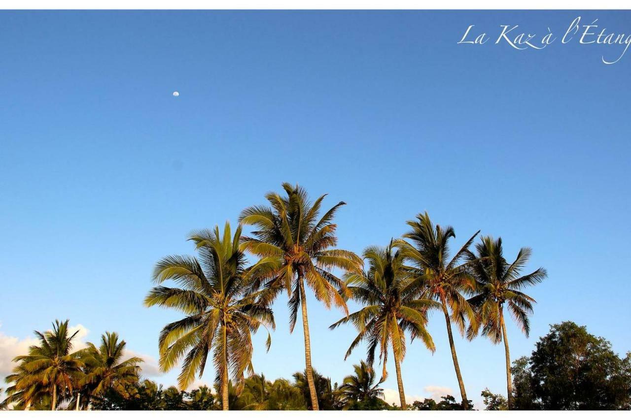 La Kaz A L'Etang - Votre Location De Vacances A L'Ile De La Reunion Сен-Луї Екстер'єр фото